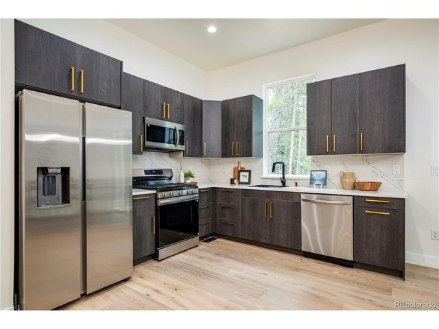 146 Elk Rd, Idaho Springs, CO 80452