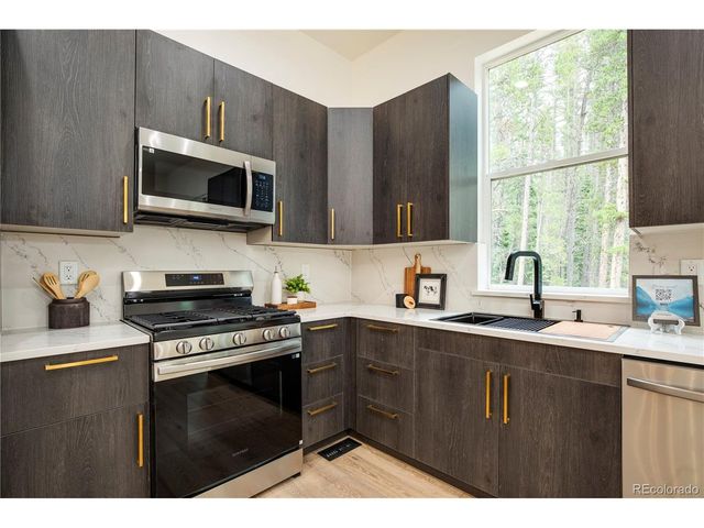 146 Elk Rd, Idaho Springs, CO 80452