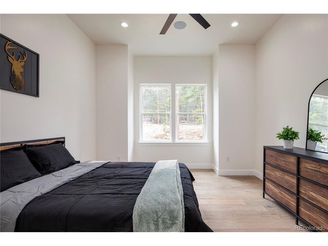 146 Elk Rd, Idaho Springs, CO 80452