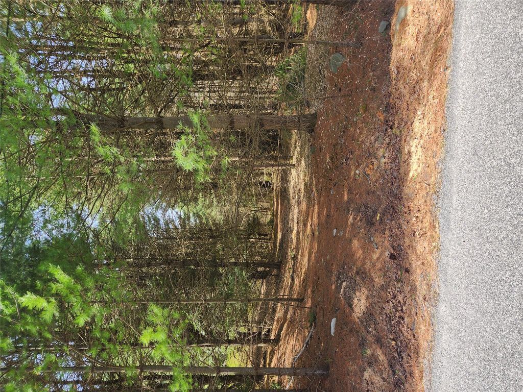 4th Circle, Rock Hill, NY 12775