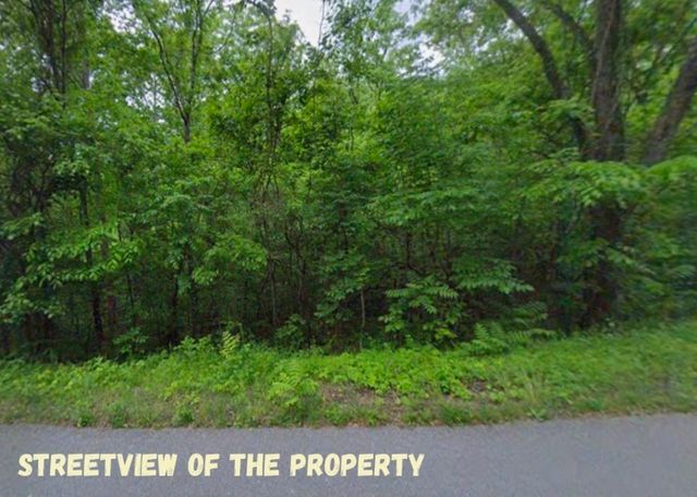 1 Harbor Pointe Drive, Silver Point, TN 38582