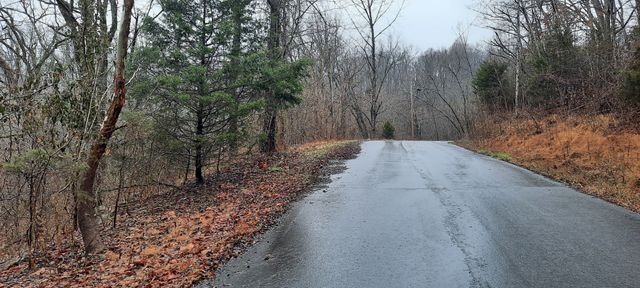 1 Harbor Pointe Drive, Silver Point, TN 38582