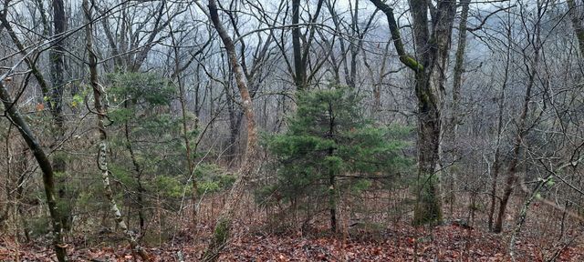 1 Harbor Pointe Drive, Silver Point, TN 38582