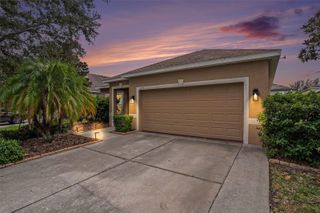 10125 CELTIC ASH DRIVE, Ruskin, FL 33573