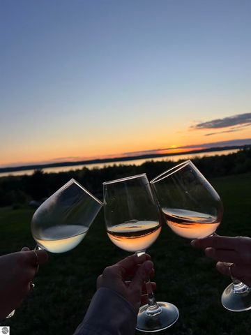 9065 Windigo Trail, Alden, MI 49612