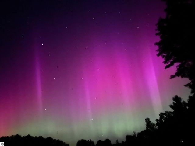 9065 Windigo Trail, Alden, MI 49612