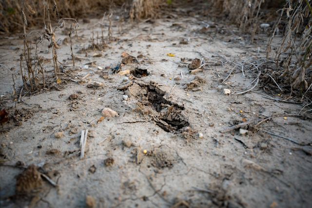 00 Lawrenceville Road, Garden Prairie, IL 61038