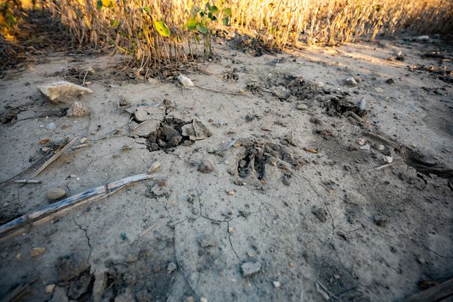 00 Lawrenceville Road, Garden Prairie, IL 61038