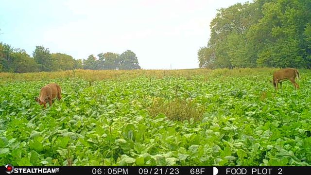 00 Lawrenceville Road, Garden Prairie, IL 61038