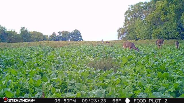 00 Lawrenceville Road, Garden Prairie, IL 61038