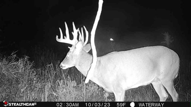 00 Lawrenceville Road, Garden Prairie, IL 61038