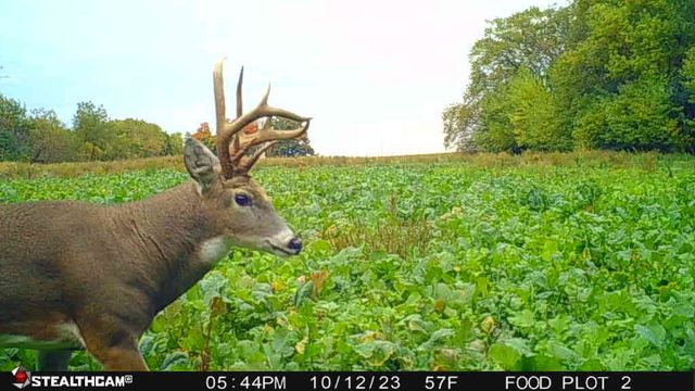 00 Lawrenceville Road, Garden Prairie, IL 61038