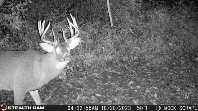 00 Lawrenceville Road, Garden Prairie, IL 61038