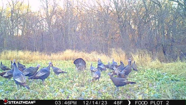 00 Lawrenceville Road, Garden Prairie, IL 61038