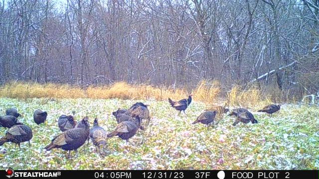 00 Lawrenceville Road, Garden Prairie, IL 61038