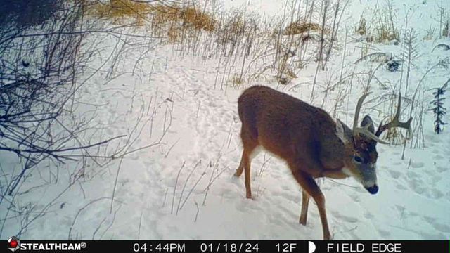 00 Lawrenceville Road, Garden Prairie, IL 61038