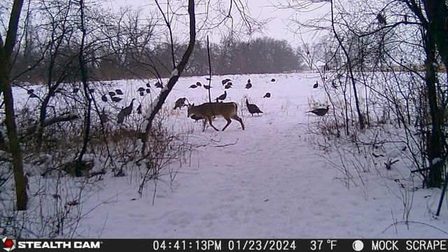 00 Lawrenceville Road, Garden Prairie, IL 61038