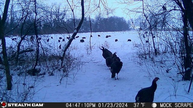 00 Lawrenceville Road, Garden Prairie, IL 61038