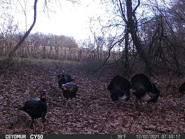 00 Lawrenceville Road, Garden Prairie, IL 61038