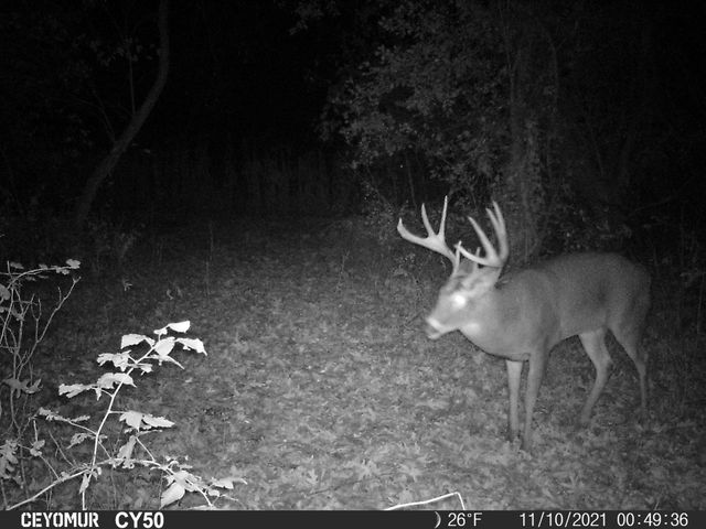 00 Lawrenceville Road, Garden Prairie, IL 61038