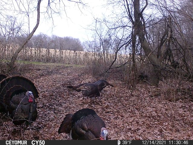 00 Lawrenceville Road, Garden Prairie, IL 61038