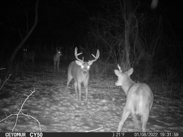 00 Lawrenceville Road, Garden Prairie, IL 61038