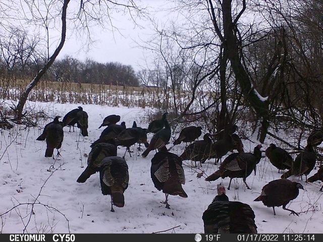 00 Lawrenceville Road, Garden Prairie, IL 61038