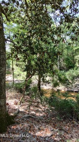 110 Rosenbaum Drive, Poplarville, MS 39470