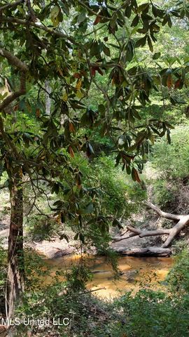 110 Rosenbaum Drive, Poplarville, MS 39470