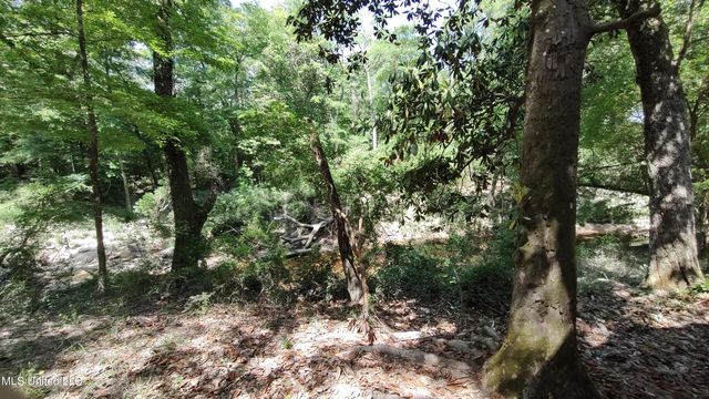 110 Rosenbaum Drive, Poplarville, MS 39470