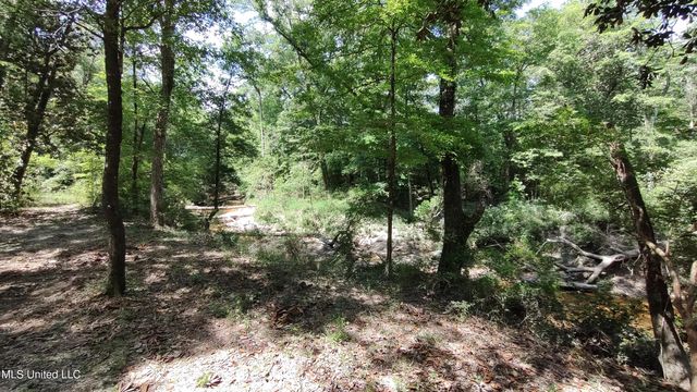 110 Rosenbaum Drive, Poplarville, MS 39470