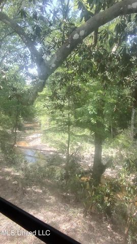 110 Rosenbaum Drive, Poplarville, MS 39470