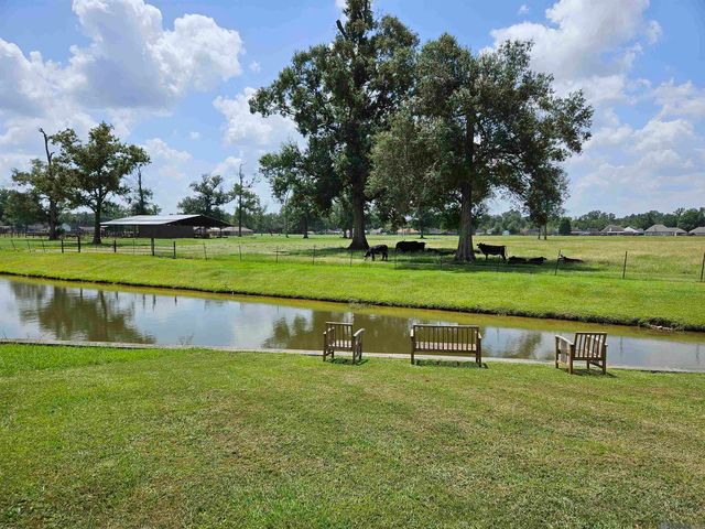 43283 Pond View Dr, Prairieville, LA 70769