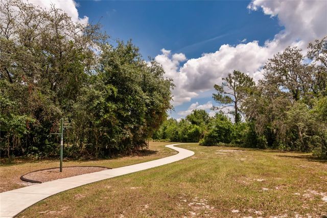 16269 YELLOWEYED DRIVE, Clermont, FL 34714