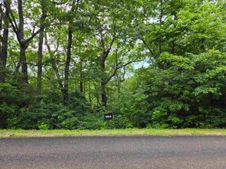 0 Snap Dragon Way, Landrum, SC 29356