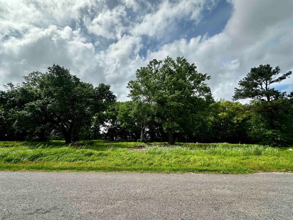 131 Rodriguez Ln, Raceland, LA 70394