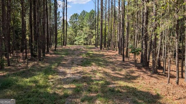 1150 Ballard Rd, Ball Ground, GA 30107