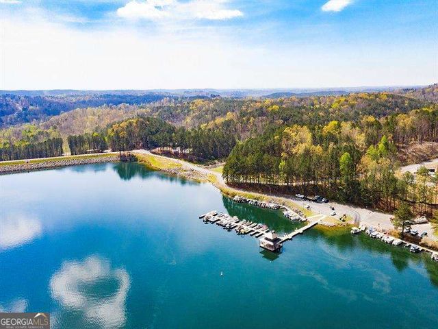 150 Ft Gibson Court, Waleska, GA 30183
