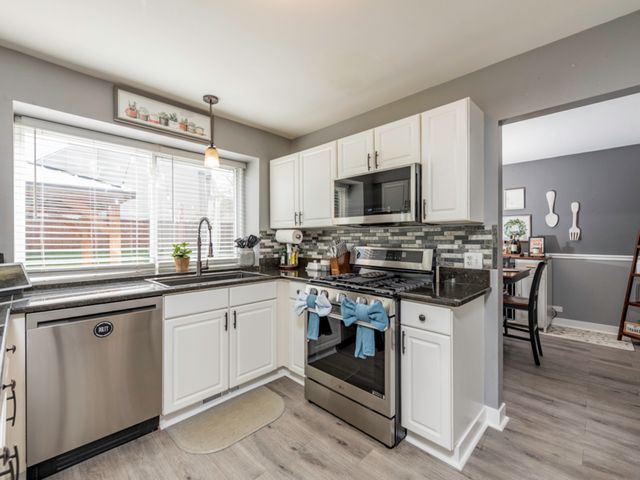 113 OAKTON Lane, Lake Villa, IL 60046