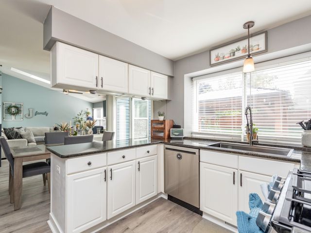 113 OAKTON Lane, Lake Villa, IL 60046