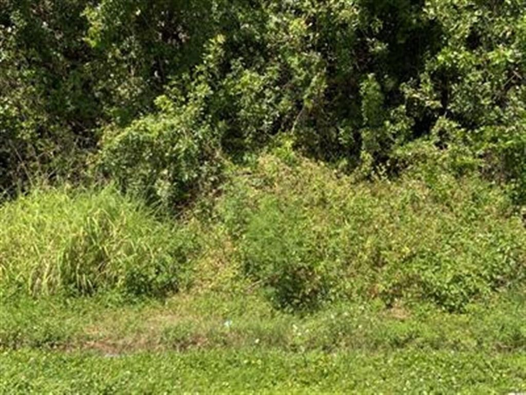 3874 SW Kasin Street, Port St Lucie, FL 34953