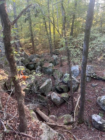 4304 Farm Market 352, Corrigan, TX 75939