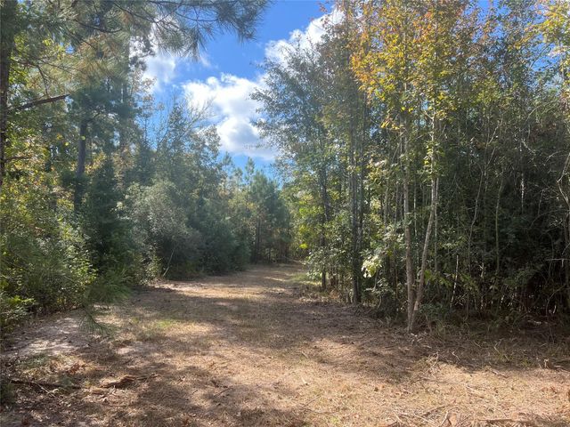 4304 Farm Market 352, Corrigan, TX 75939