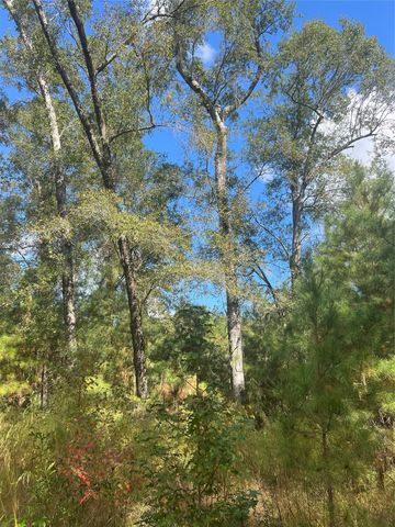 4304 Farm Market 352, Corrigan, TX 75939