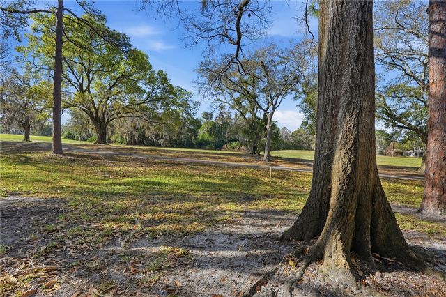 3505 TARPON WOODS BOULEVARD G405, Palm Harbor, FL 34685