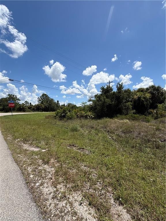 906 Bell BLVD S, LEHIGH ACRES, FL 33974 — photo 3
