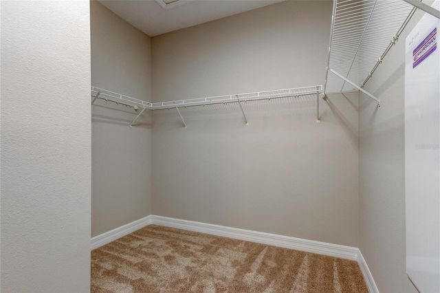 12507 SILVERDALE STREET, Tampa, FL 33626