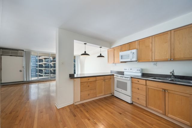 300 N STATE Street 4735, Chicago, IL 60654