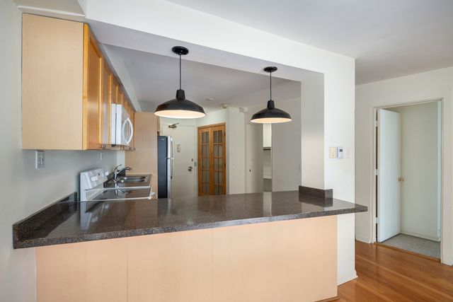 300 N STATE Street 4735, Chicago, IL 60654