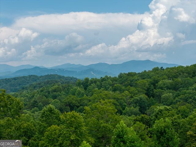 82 Jay Bird Way, Hayesville, NC 28904